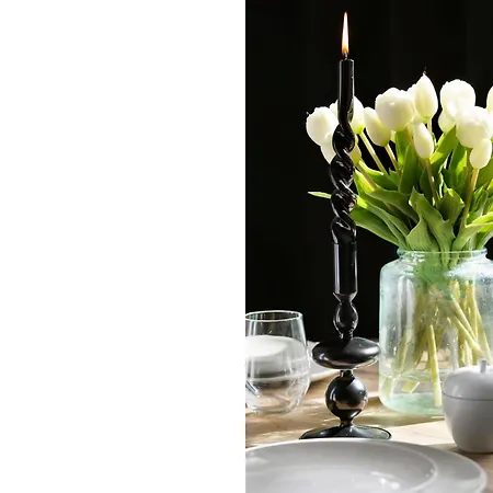 Apartment Elite Apartments Ogarna Suites Old Town *